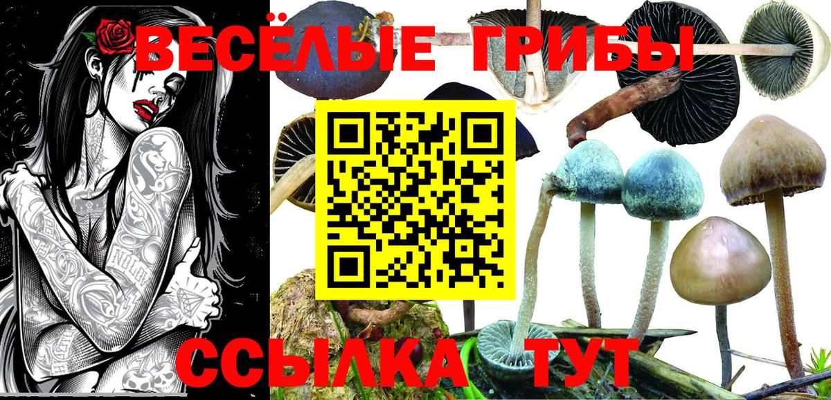 Сухой Лог  Галлюциногенные грибы GOLDEN TEACHER  закладка  Псилоцибиновые грибы мухоморы  Вход с VPN 
