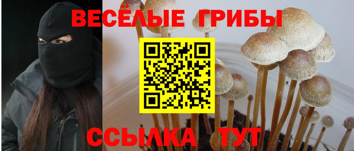 Галлюциногенные грибы прущие грибы Сухой Лог